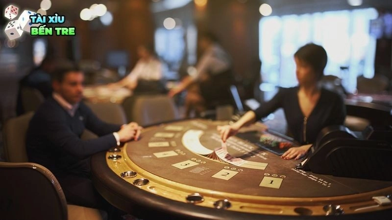 Năm Ất Tỵ nên chơi tài xỉu vào khung giờ nào dễ ăn nhất